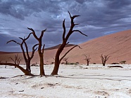 NAMIBIE - kaňony a pouště na 9 dní