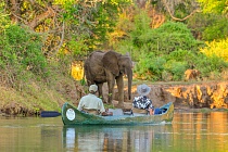 ZAMBIE a ZIMBABWE - kanoí po Lower Zambezi na 6 dní