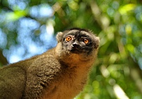 MADAGASKAR - mezi Afrikou a Asií